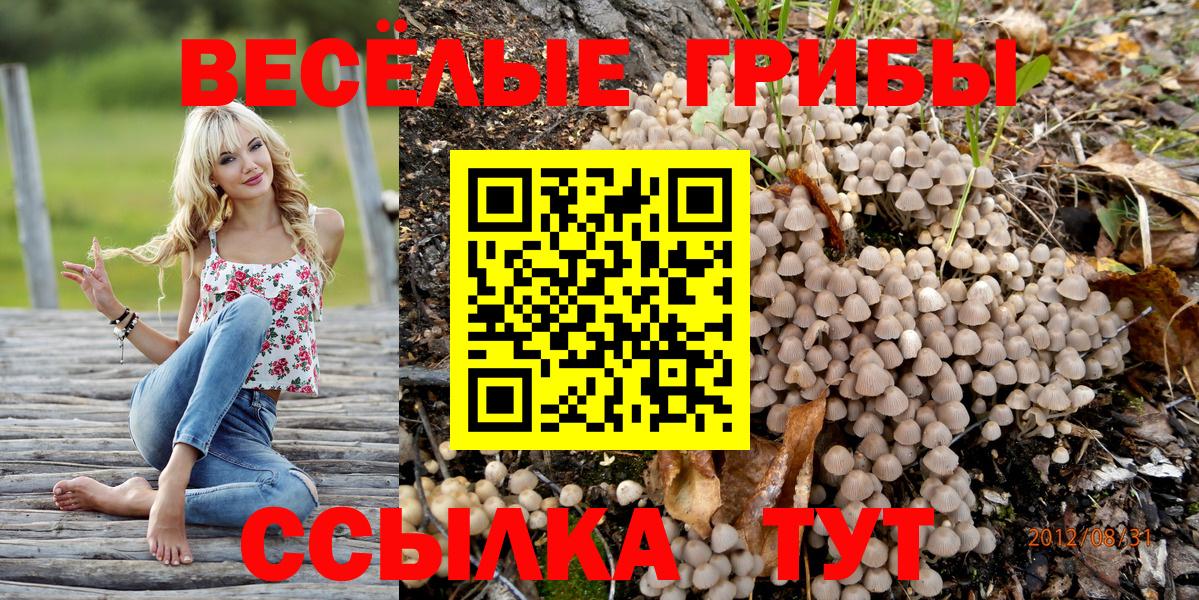 Псилоцибиновые грибы Cubensis Якутск