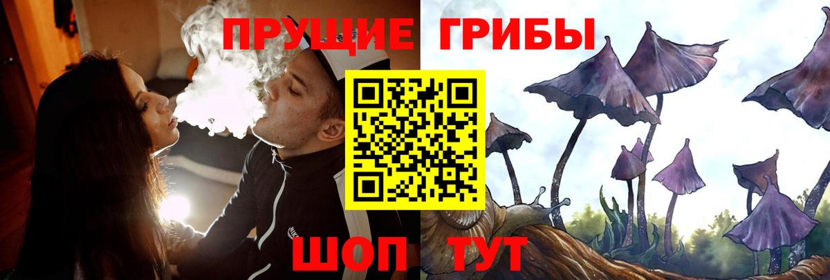 хочу наркоту  Псилоцибиновые грибы GOLDEN TEACHER  Вход с VPN  Якутск 